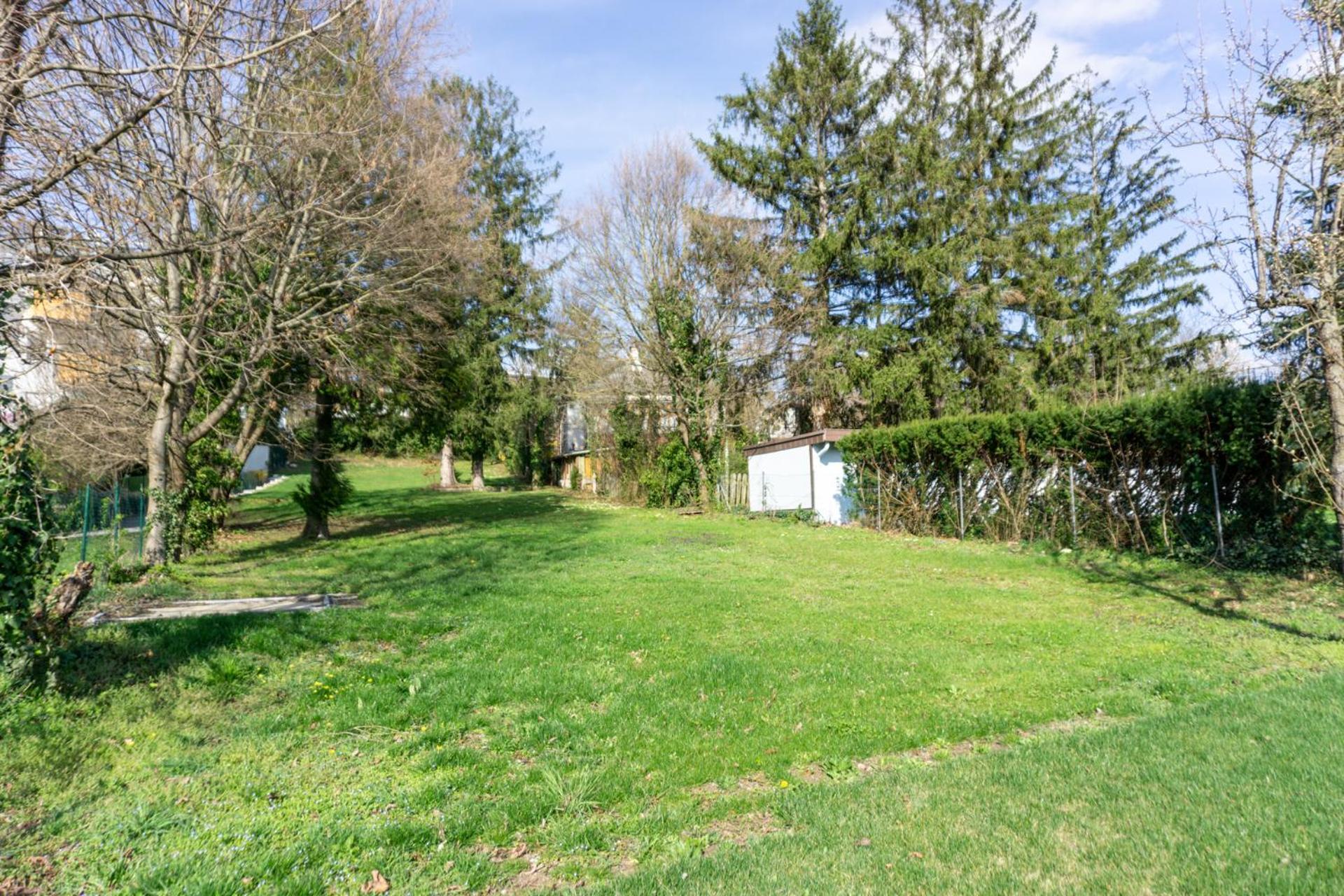 Next To Stadion, Near To Lainzer Tiergarten Apartment Wien Ngoại thất bức ảnh
